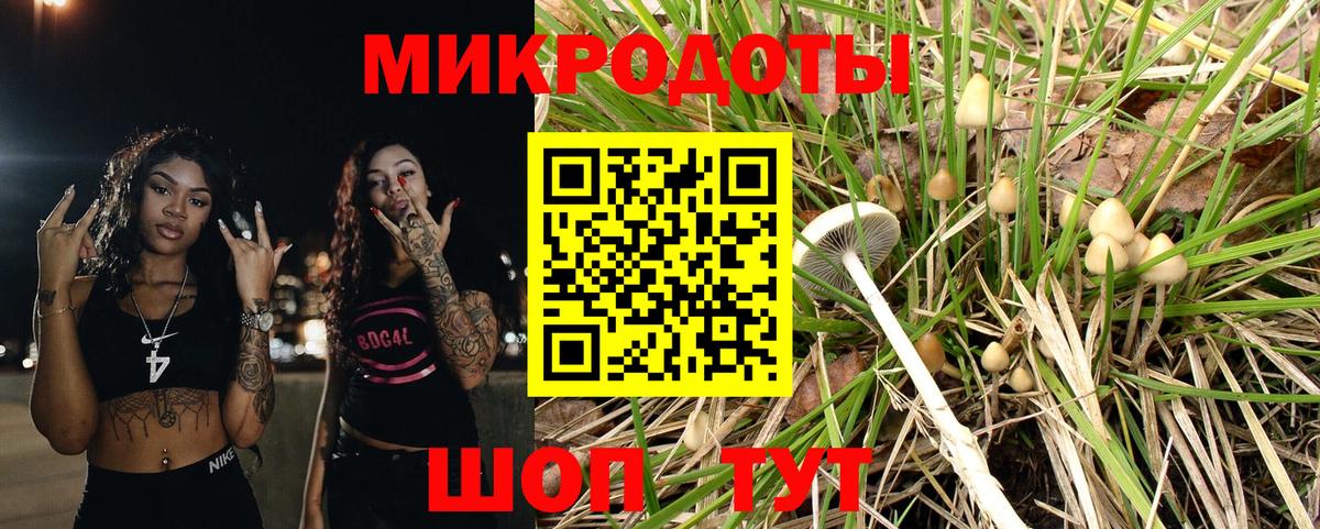 Галлюциногенные грибы GOLDEN TEACHER Шахты