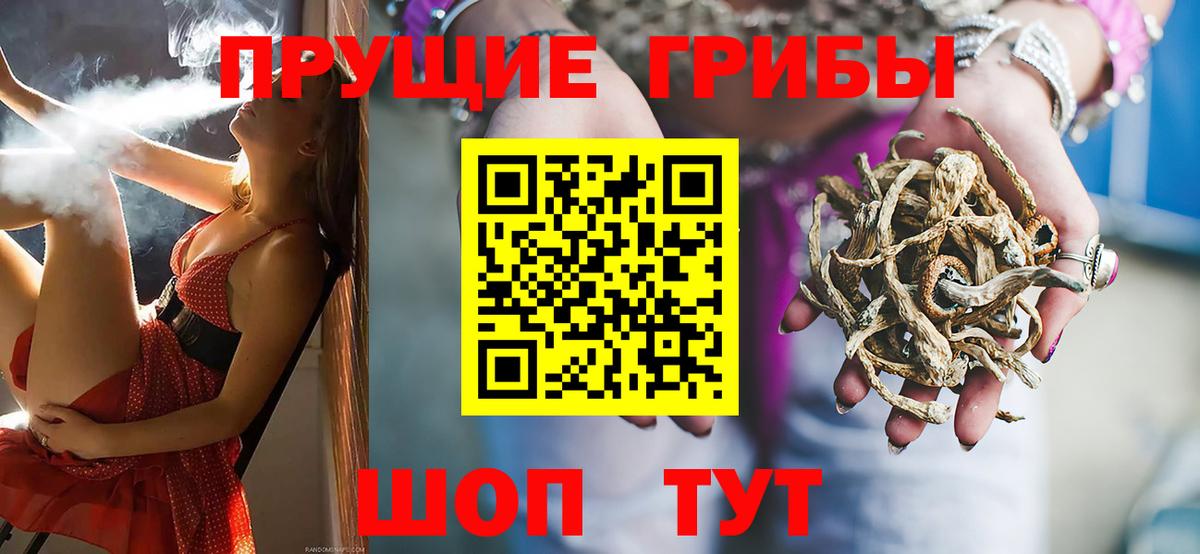 Шахты  Псилоцибиновые грибы Psilocybine cubensis  Вход с VPN 